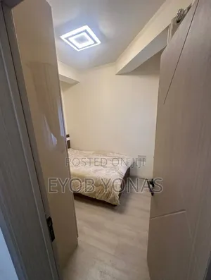 Furnished 2bdrm Apartment in የሚሸጥ አፓርታማ ሳርቤት, Lideta for sale