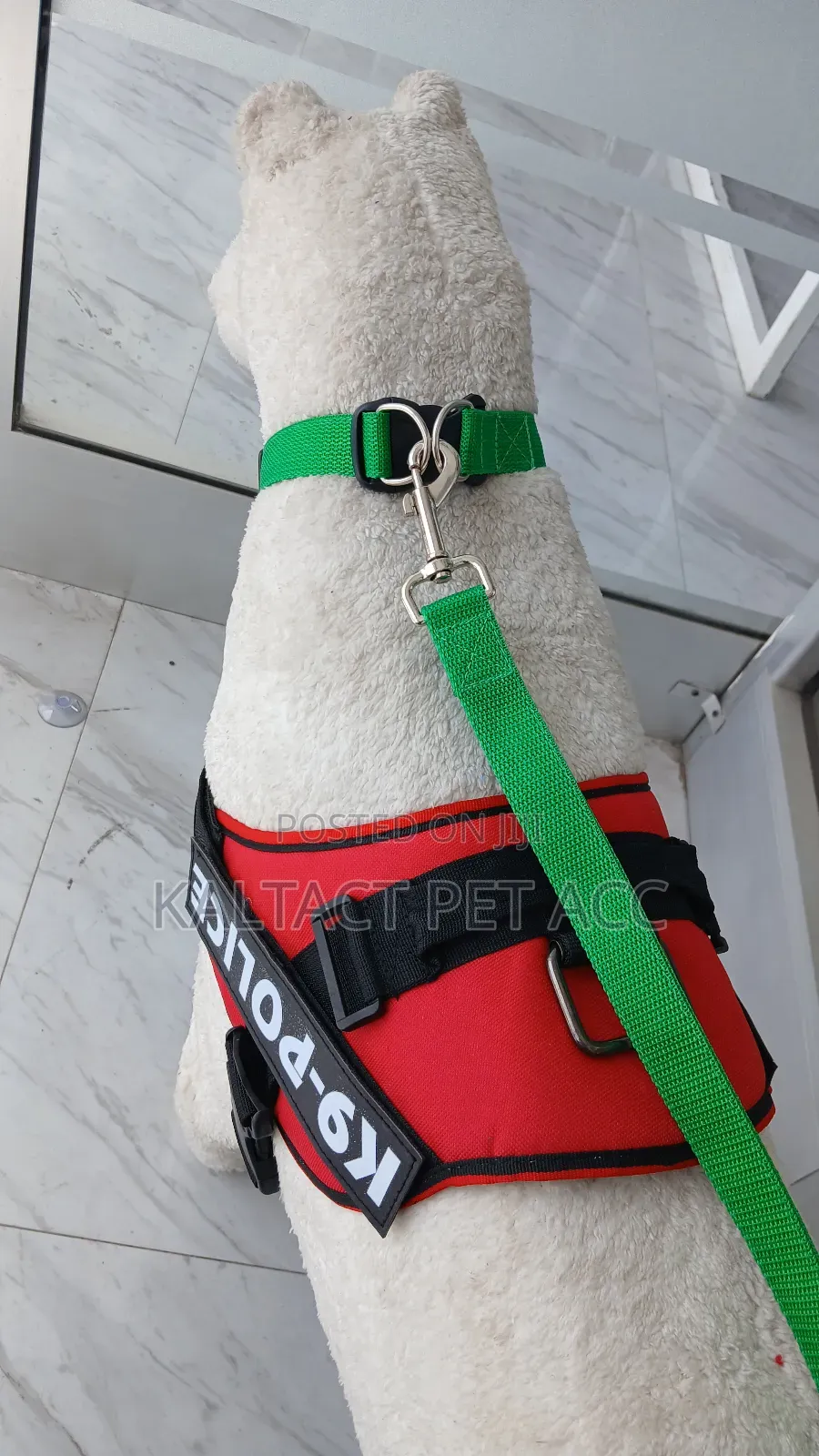 Dog Leash and Collar