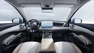 BYD Yuan Plus 2025 Gray