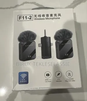 3 In 1 Wireless Microphone Mic