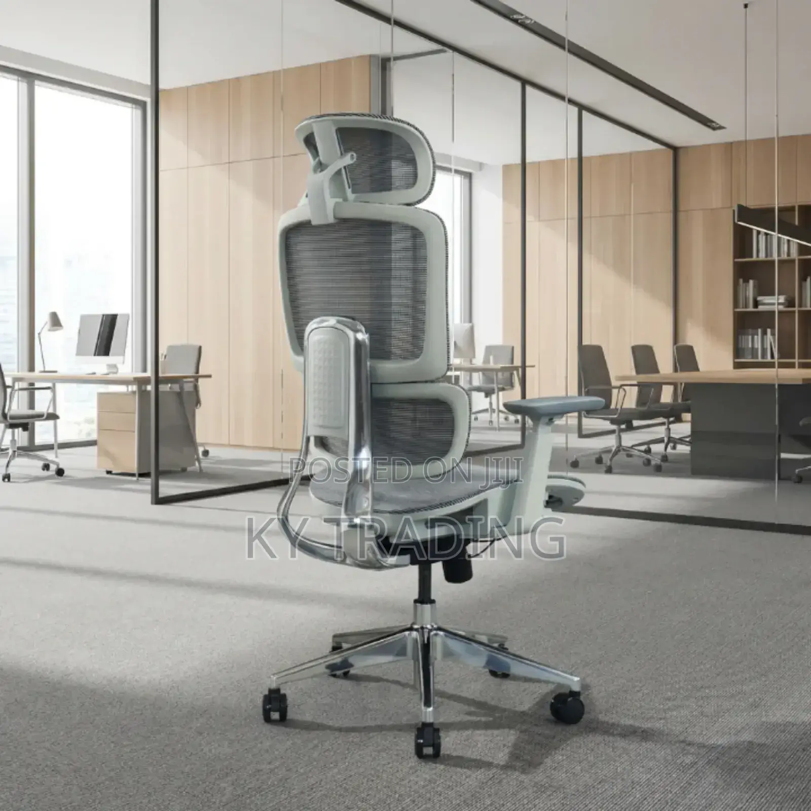 Back Metal Full Mesh Ergonomic Chair