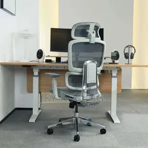 Back Metal Full Mesh Ergonomic Chair