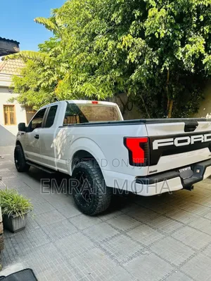 Ford F-150 2019 White