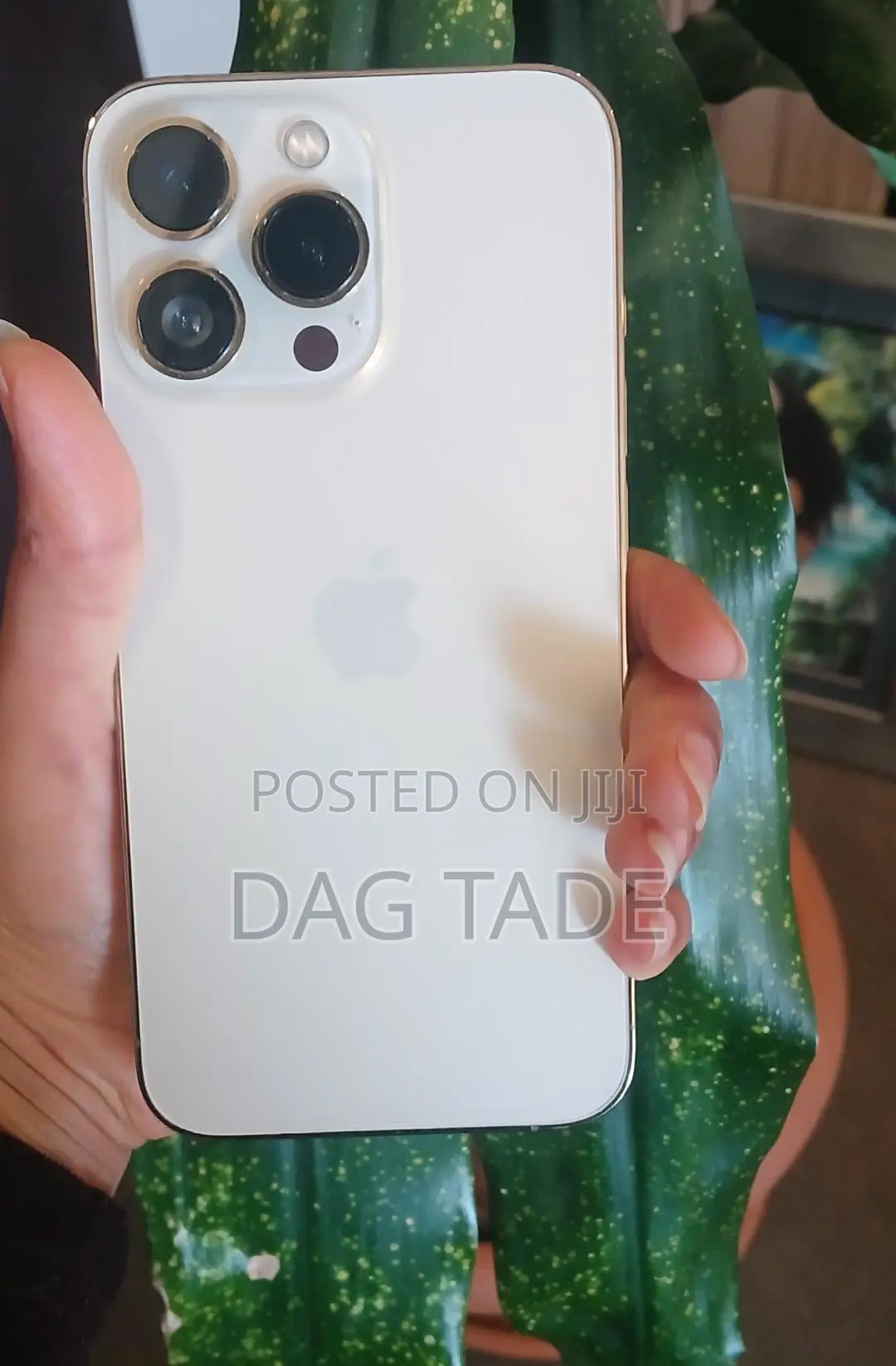 Apple iPhone 13 Pro 256 GB White