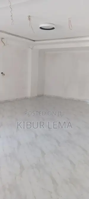 Furnished 2bdrm Apartment in Ad Real Estate, Yeka for sale