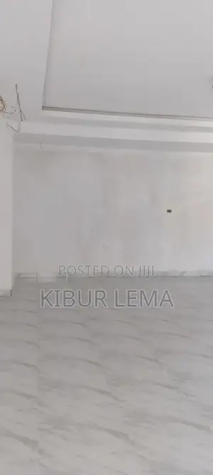Furnished 2bdrm Apartment in Ad Real Estate, Yeka for sale