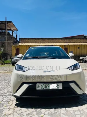 BYD Seagull 2024 White