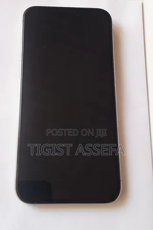 Apple iPhone 15 Pro Max 256 GB Silver