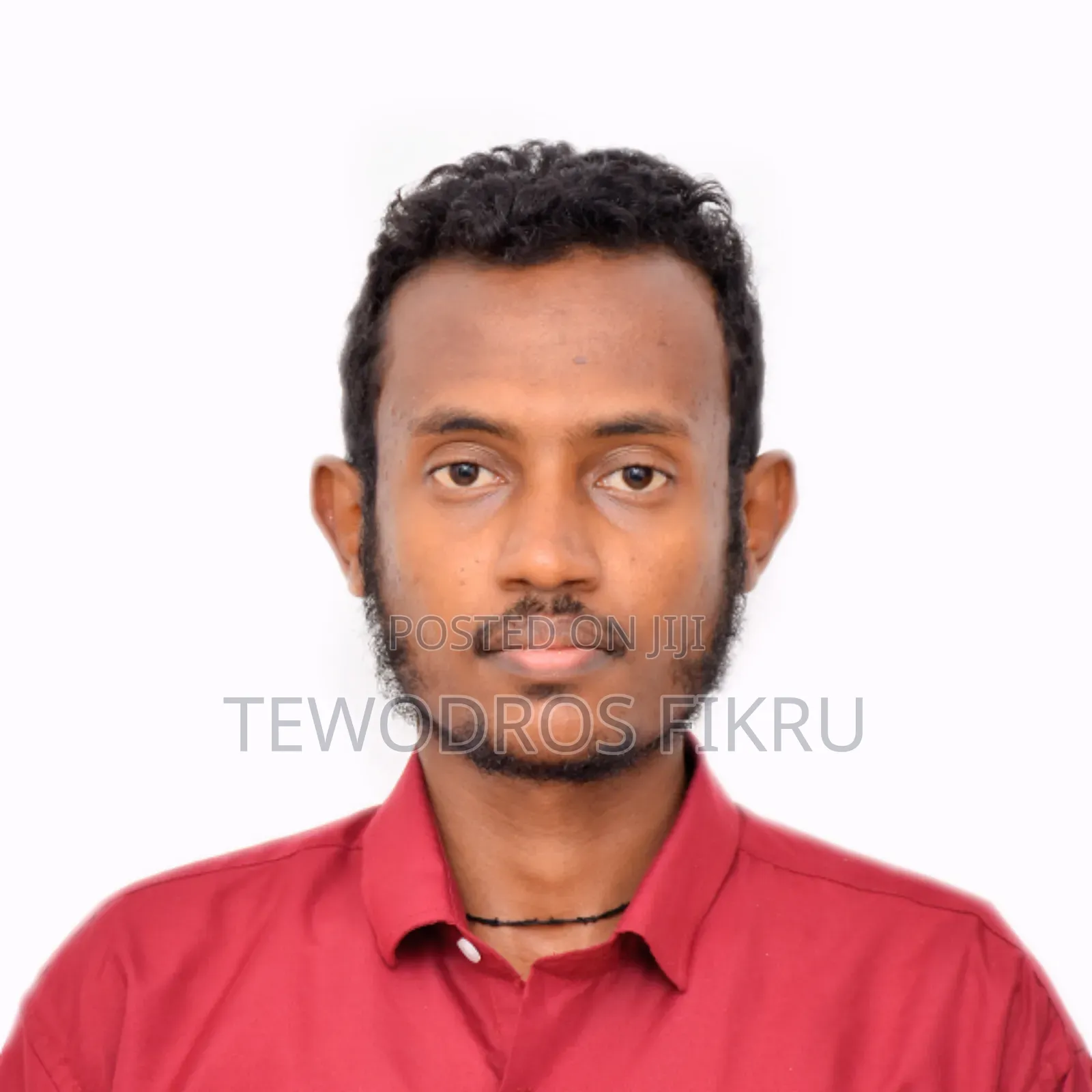 Tedd Video Editor