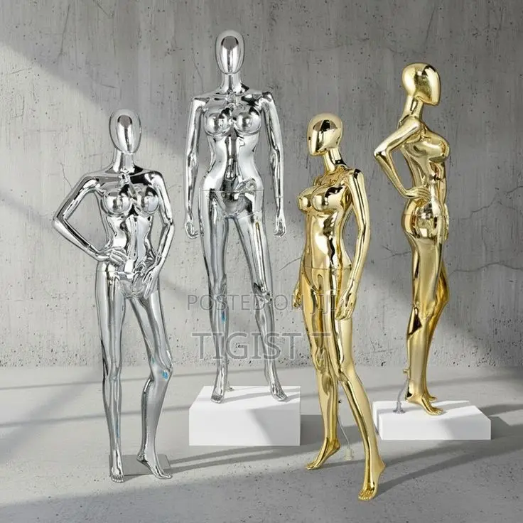 Display Maniquie
