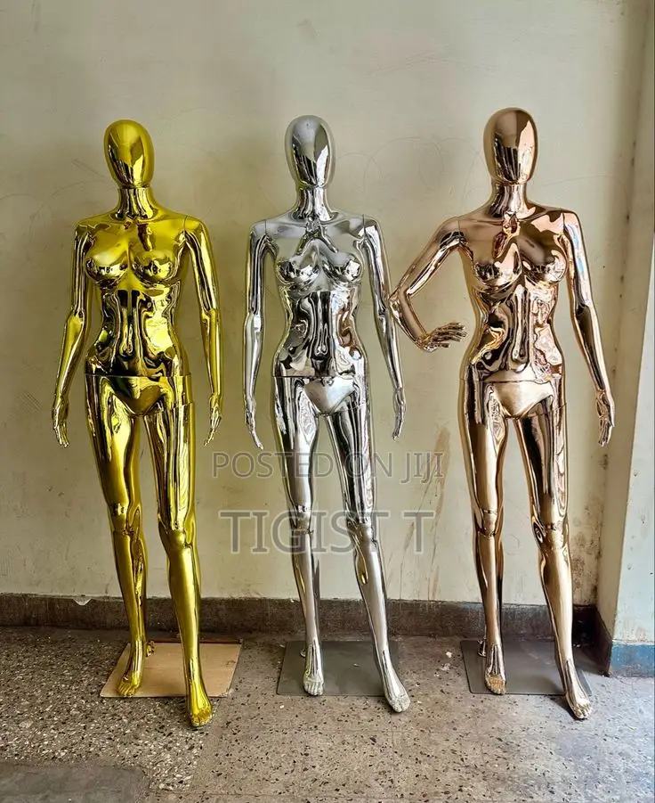 Display Maniquie