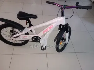 Phoenix 20 Inch Bike New