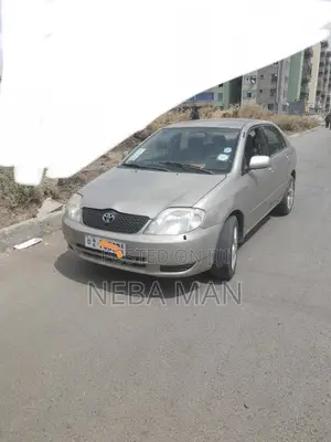 Toyota Corolla 2001 Brown