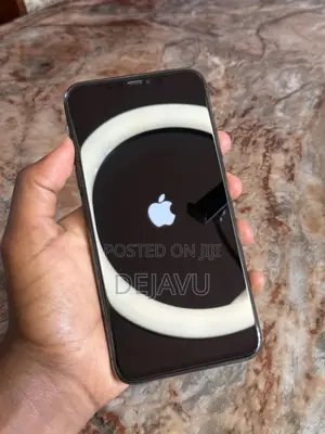 Apple iPhone 12 Pro 256 GB Gray