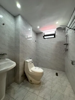 Furnished 3bdrm Apartment in Bole for rent
