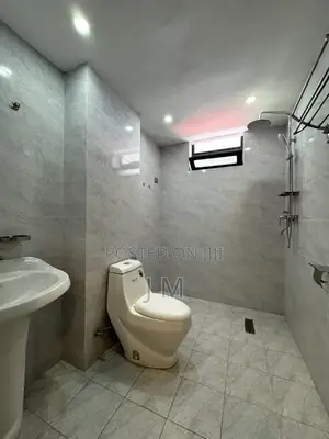 Furnished 3bdrm Apartment in Bole for rent
