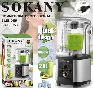 ድምፅ አልባ ፕሮፌሽናል ጁስ መፍጫ-sk-03053