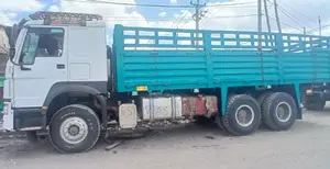 Sino Casoni Model 2021