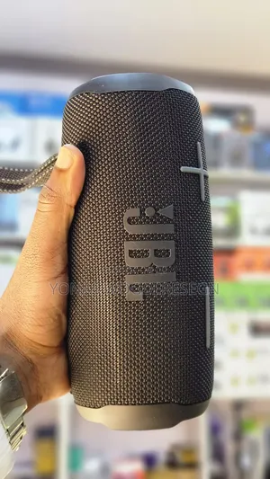 Portable JBL Pulse 5 Speaker