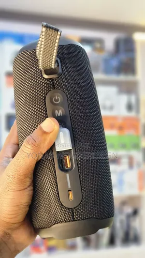 Portable JBL Pulse 5 Speaker