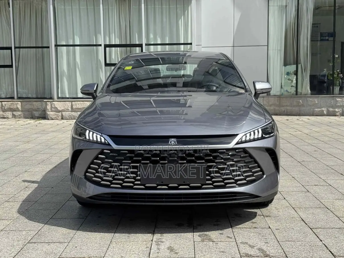 New BYD Qin Plus DM-i 2025 Gray