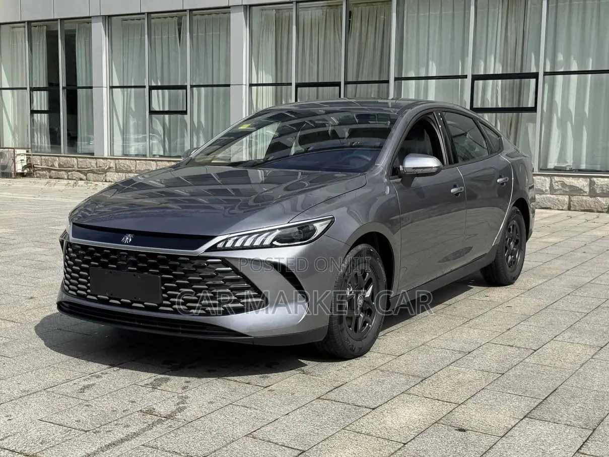 New BYD Qin Plus DM-i 2025 Gray