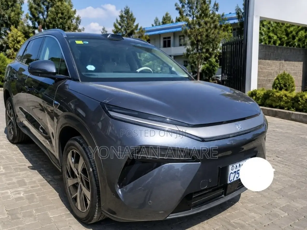 BYD Tang EV 2025 Gray