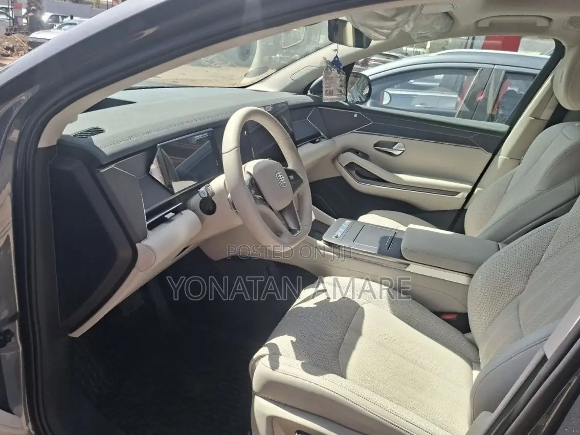 BYD Tang EV 2025 Gray