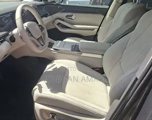 BYD Tang EV 2025 Gray