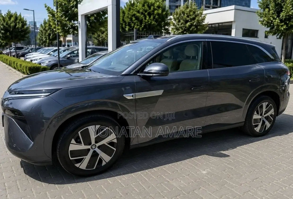 BYD Tang EV 2025 Gray