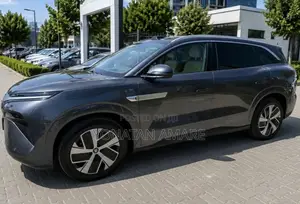BYD Tang EV 2025 Gray