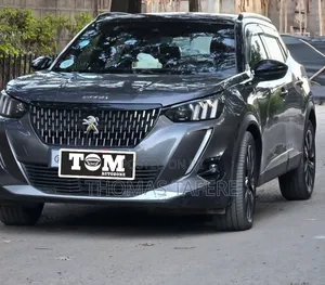 Peugeot 2008 2022 Gray