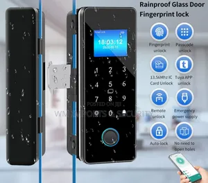 Frameless Samrt Door Lock