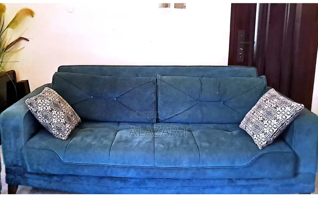 Sofa and Bed Both