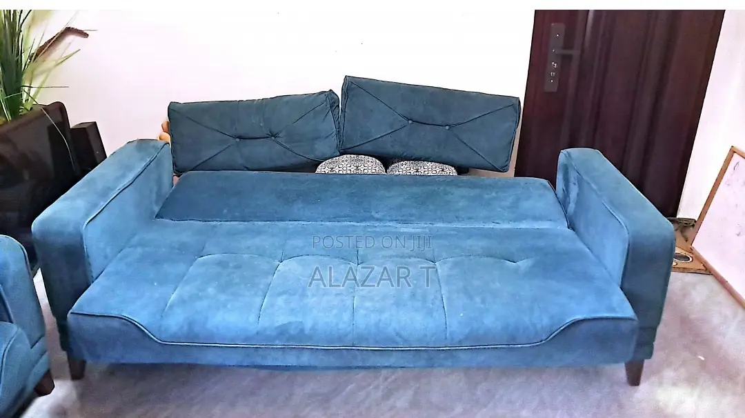 Sofa and Bed Both