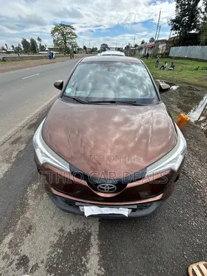 Toyota C-HR 2017 Brown