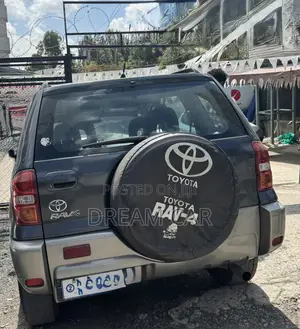 Toyota RAV4 2004 Gray