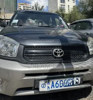 Toyota RAV4 2004 Gray