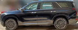 Hyundai Palisade 2023 Black