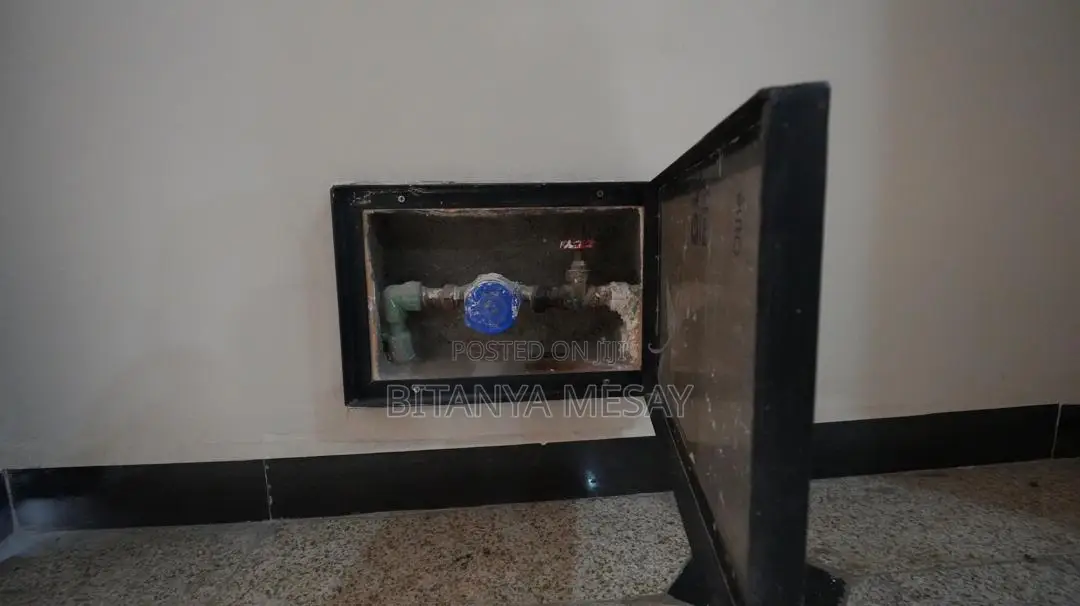 2 Bed Room Furnished Apartment