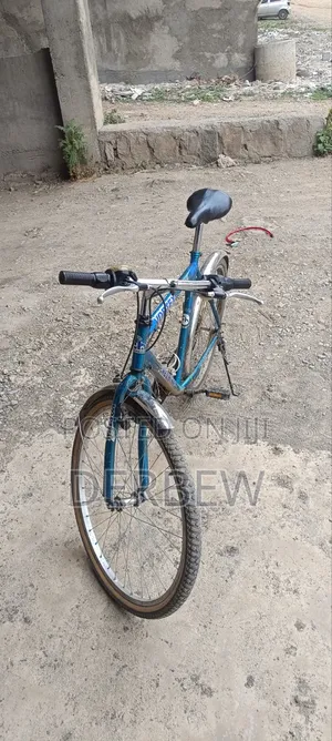 Used Bicycle