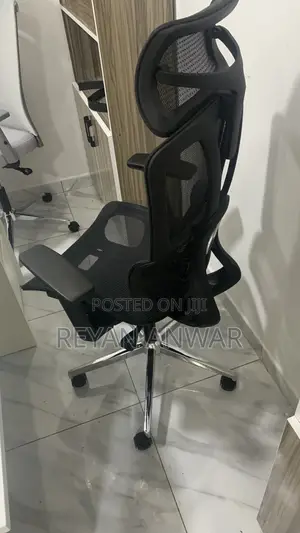 Eargonomic Chair