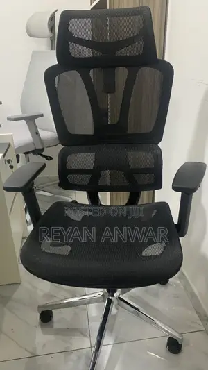 Eargonomic Chair