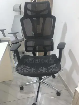 Eargonomic Chair