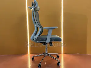 Office Chair | የ ቢሮ ወንበር