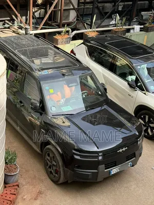 New BYD Leopard 7 2025 Black
