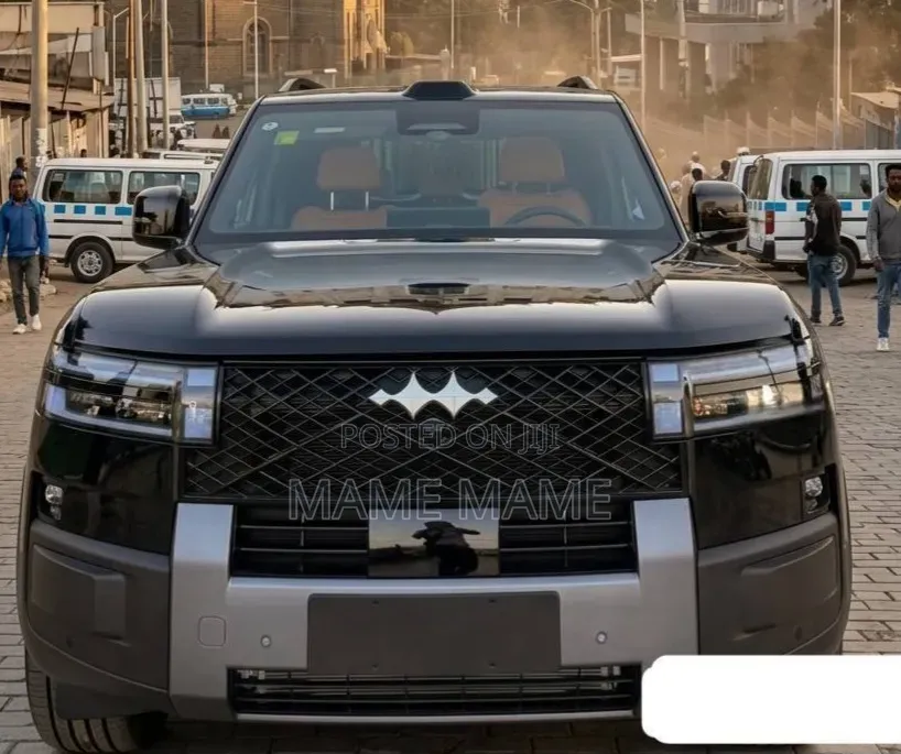 New BYD Leopard 7 2025 Black