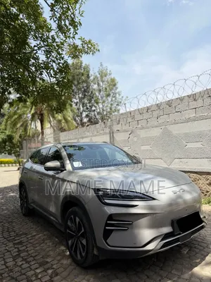 New BYD Song Plus 2025 Gray