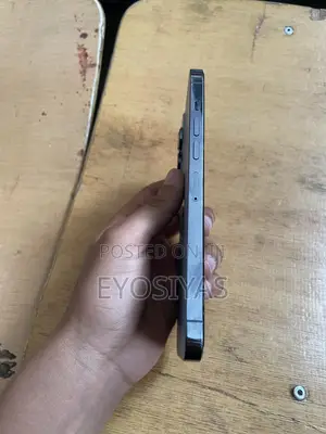 Apple iPhone 13 Pro Max 1 TB Blue