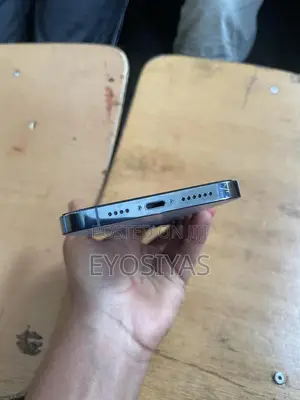 Apple iPhone 13 Pro Max 1 TB Blue